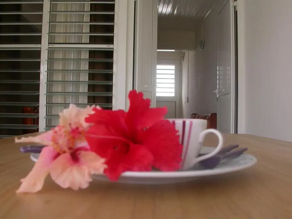 Maison de Vacances à St Anne Martinique - Photo 2