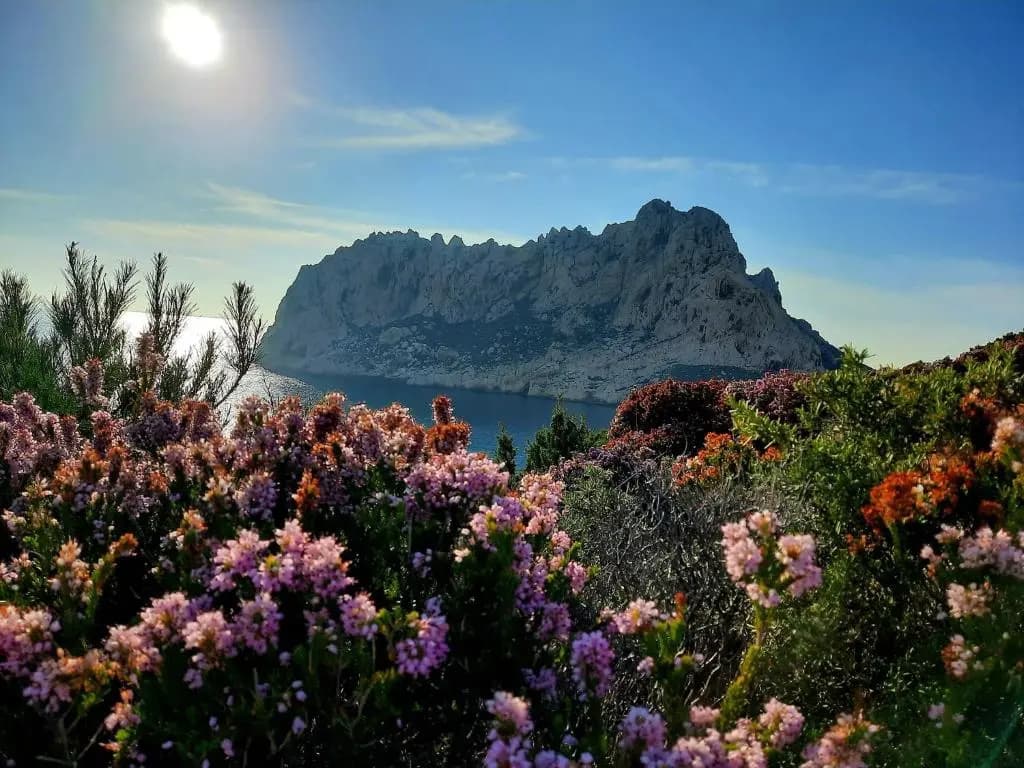 Cabanon du Pecheur, Parc National Des Calanques - Photo 2