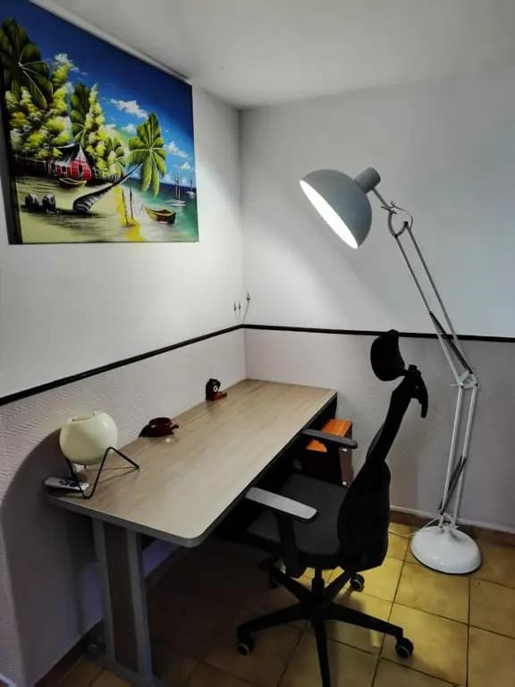 Appartement de 2 chambres avec jardin clos et wifi a Le Lamentin a 7 km de la plage - Miniature 8