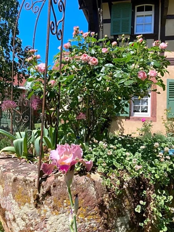 Maison d'hôtes "Au Fil du Temps" - Photo 2