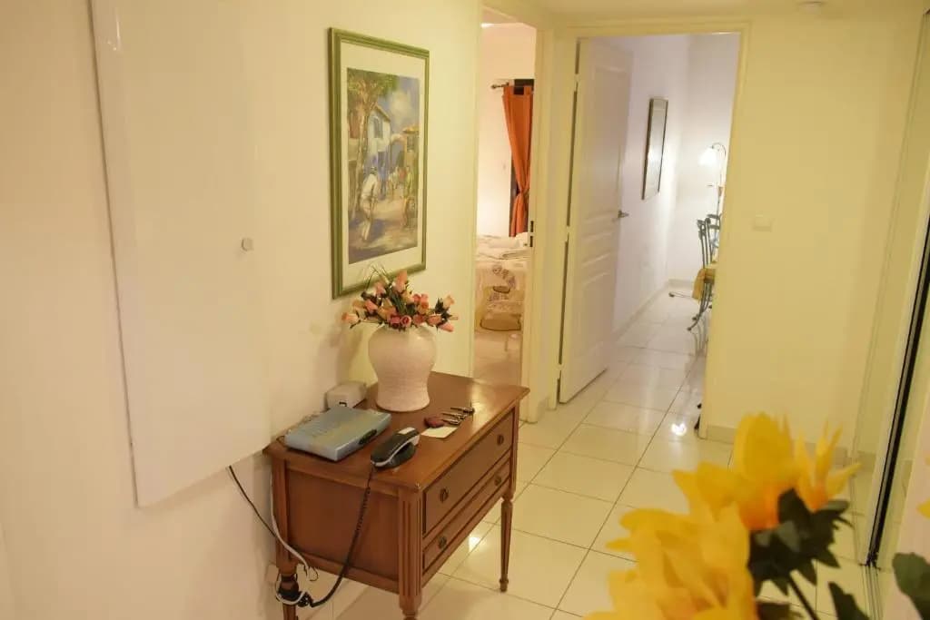 Spacious Luxury apt, 12 min walk to Croisette beach and Conf Centre - Photo 4