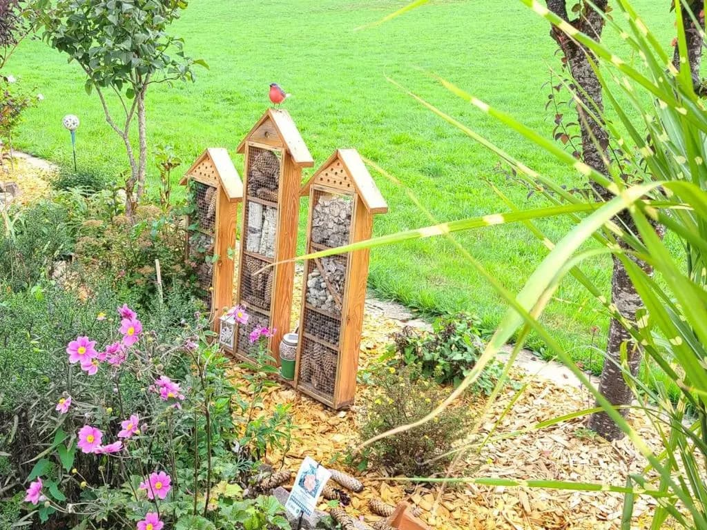 Gîte Le Val-d'Ajol, 2 pièces, 4 personnes - FR-1-589-194 - Miniature 8