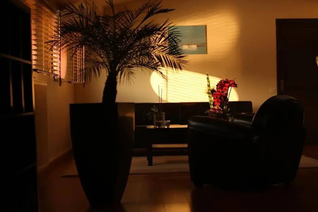 Chez Tatiana - Photo 2