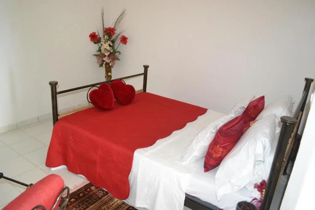 La Nicotoria Apartments - Photo 2
