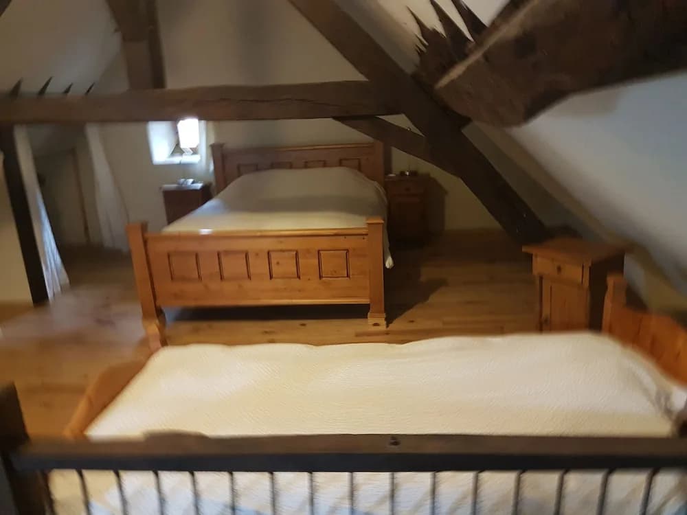 Domaine  Le Petit Moulin - Photo 3