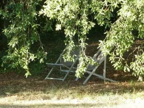 Domaine D'entudelle - Photo 4
