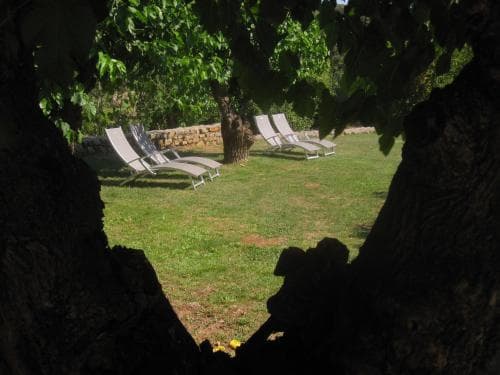 Mas de la Garrigue - Miniature 7