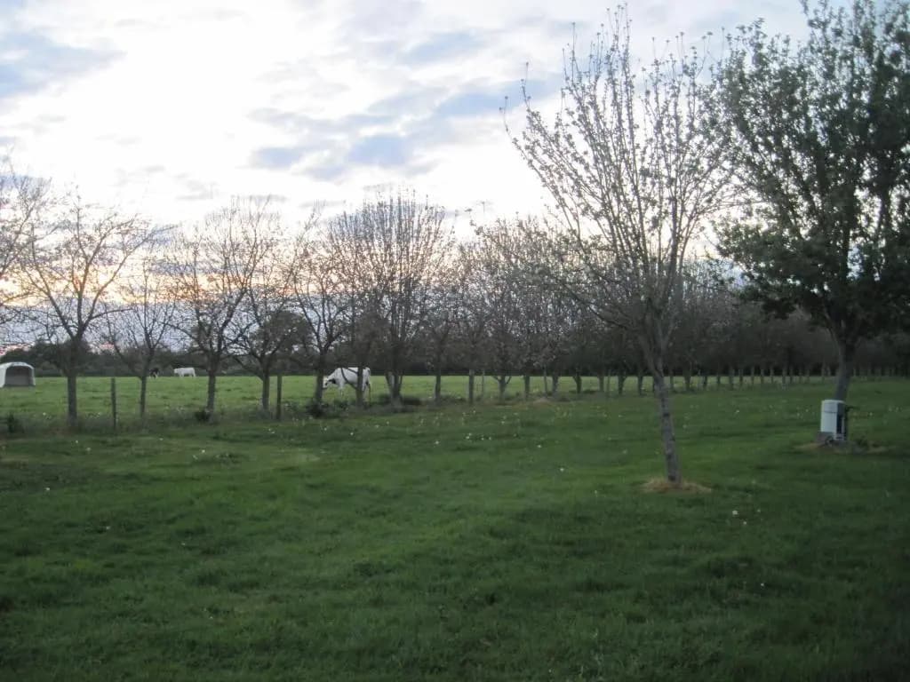 Camping du Creulet - Miniature 8