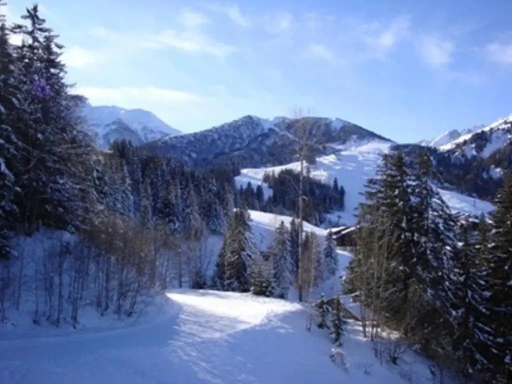 Appartement Valmorel, 2 pièces, 5 personnes - FR-1-356-273 - Miniature 8