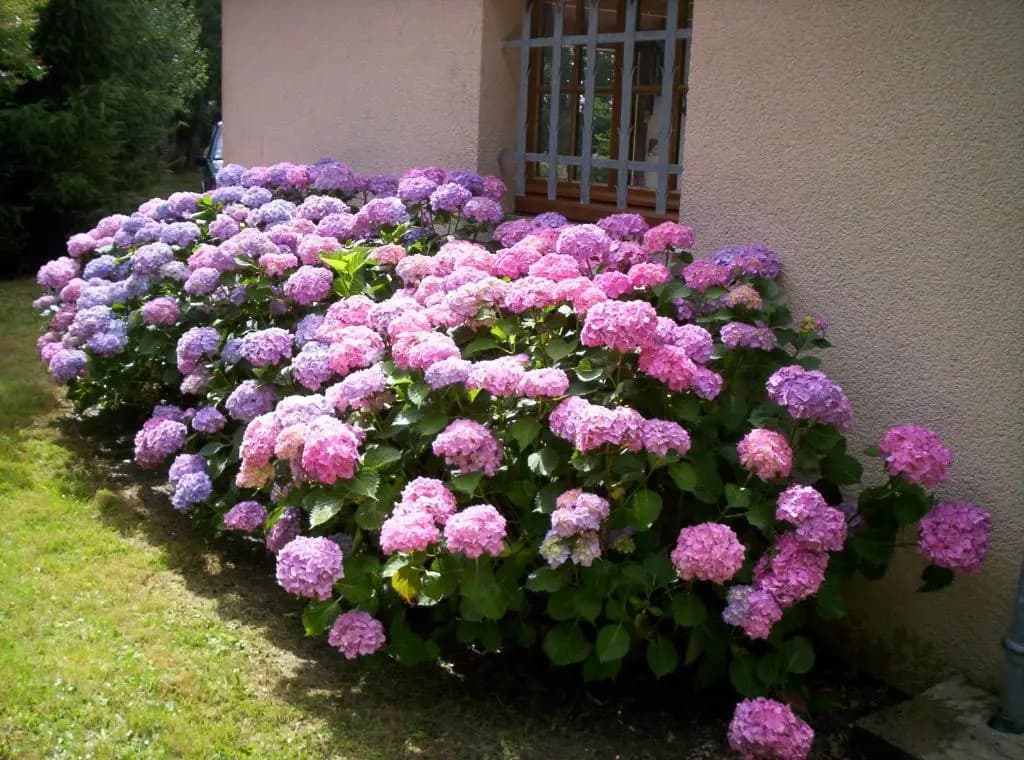 Maison de Vacances MACOU 2 - Photo 1