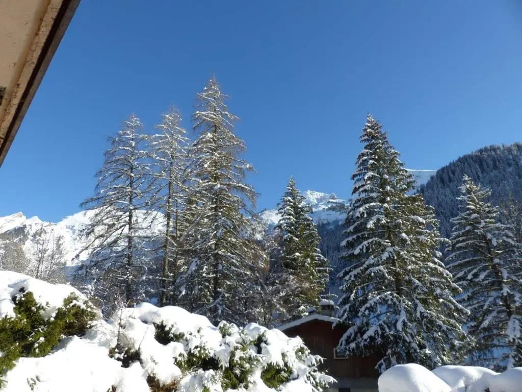 Appartement La Clusaz, 2 pièces, 4 personnes - FR-1-437-68 - Photo 1