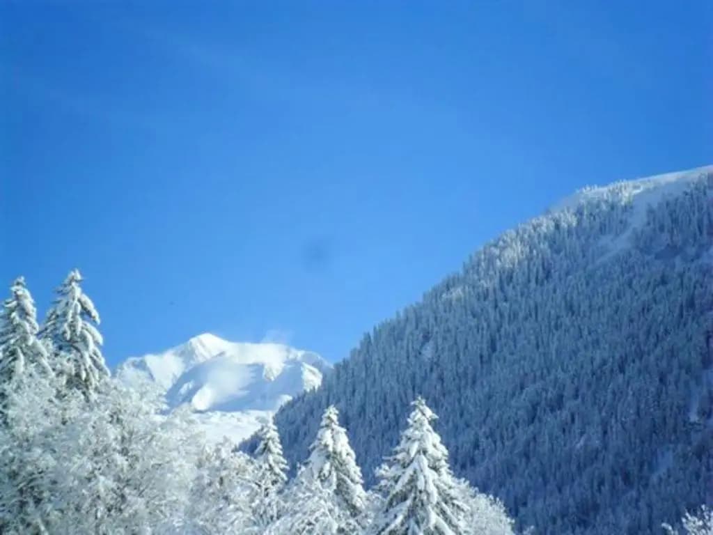 Appartement de 2 chambres a Hauteluce a 800 m des pistes avec jardin amenage et wifi - Photo 5