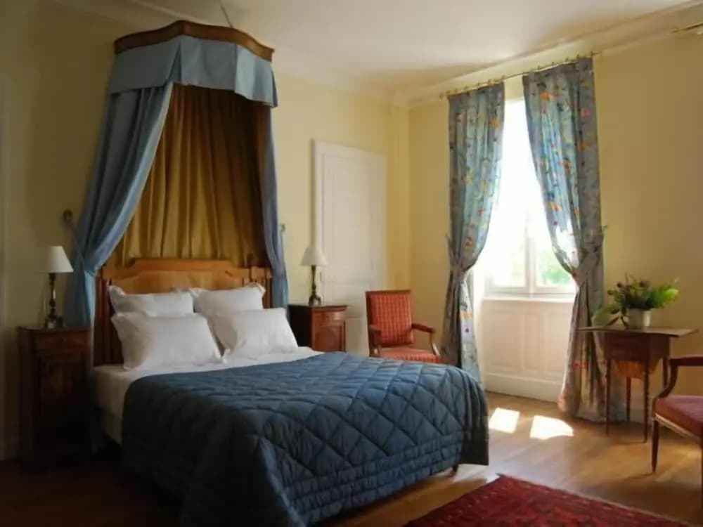 Chambres d'hôtes - Château de la Plante - Photo 3