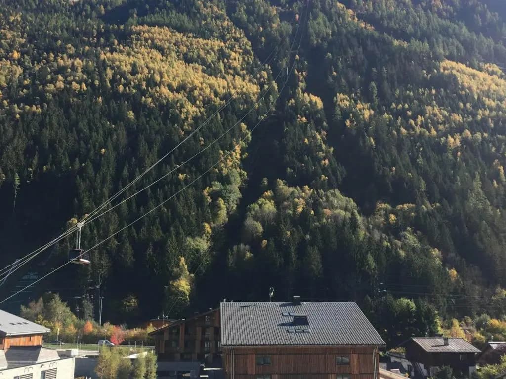 Appartement Chamonix-Mont-Blanc, 2 pièces, 3 personnes - FR-1-517-54 - Miniature 6