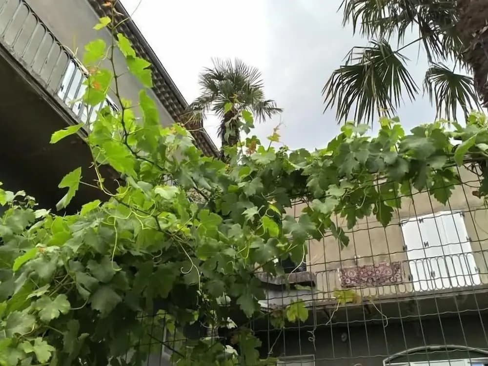 Maison Jaffran, Suite en Ville - Photo 1