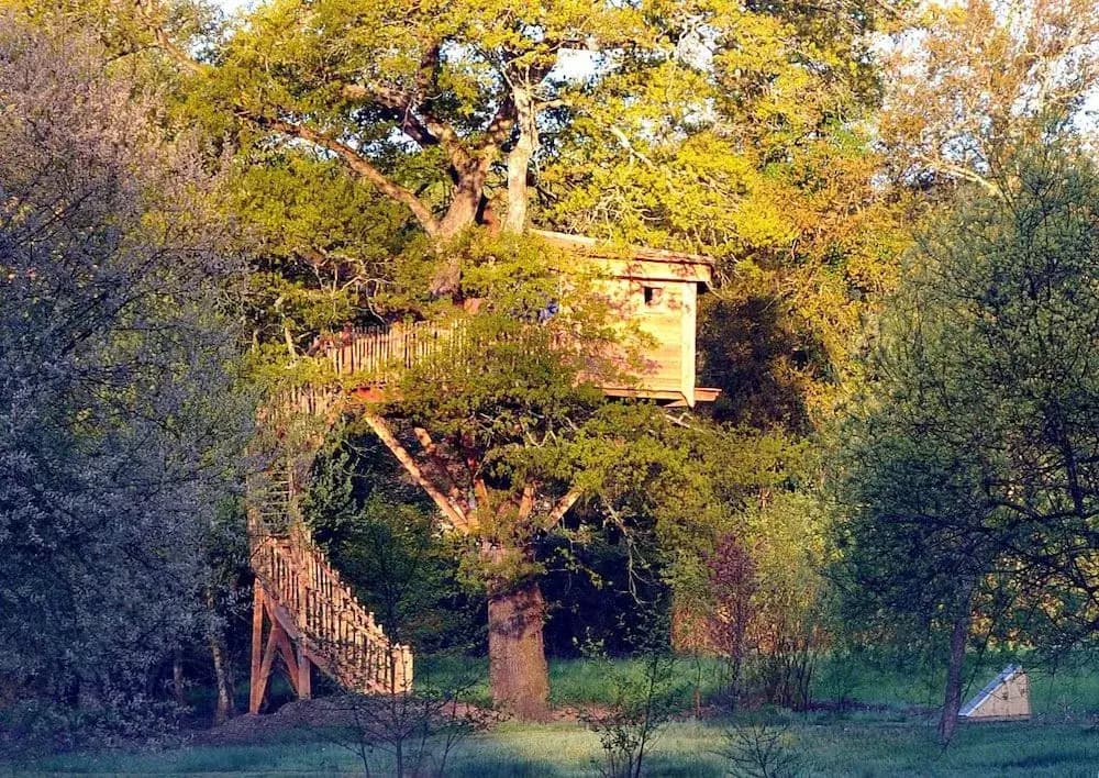 La Cabane Du Vieux Chêne - Miniature 6