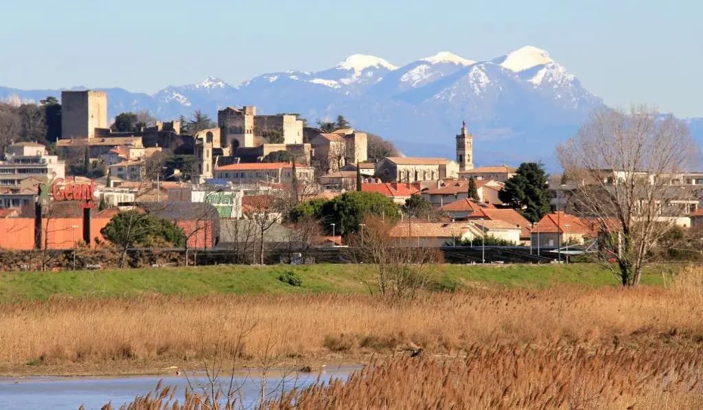 La Colombière - Montélimar - Photo 4