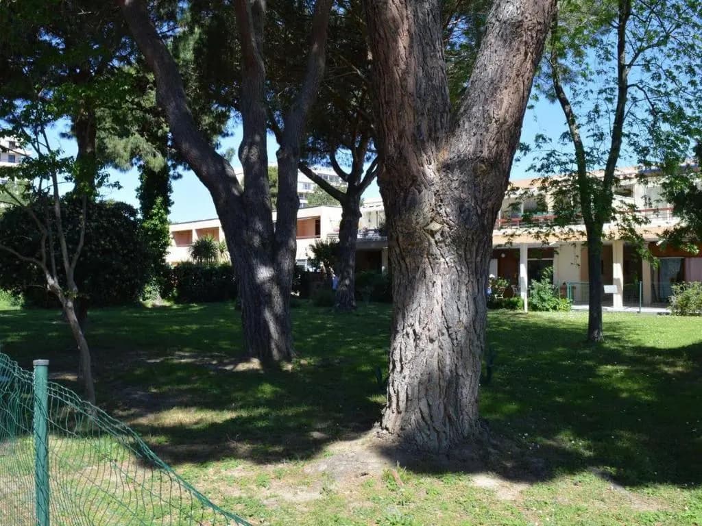 Appartement Argelès-sur-Mer, 2 pièces, 4 personnes - FR-1-225-699 - Miniature 8
