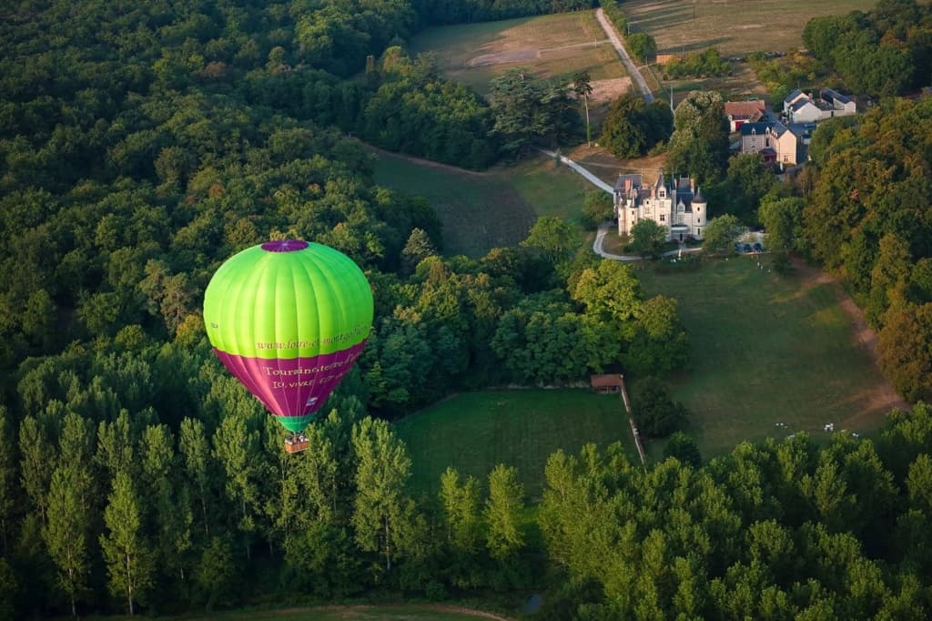 Domaine de la Roche Bellin - Photo 5