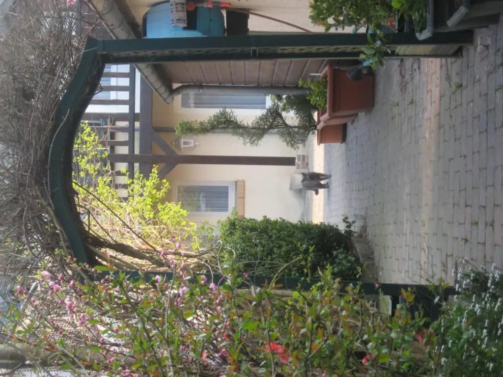 Auberge Le Cheval Blanc - Miniature 6