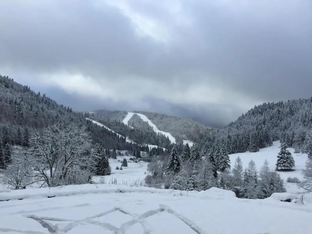 LA BRESSE - Appartement de Charme 3* - Photo 3