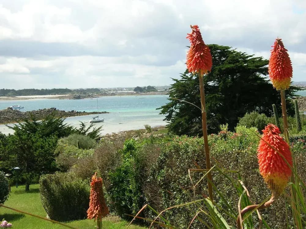 180deg Panoramic sea View, Apartment, Roscoff - Miniature 7