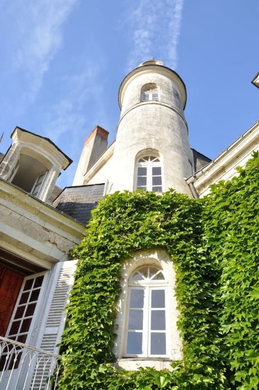 Château du Plessis - Anjou - Photo 1