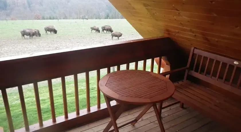 Ranch des bisons - Miniature 6
