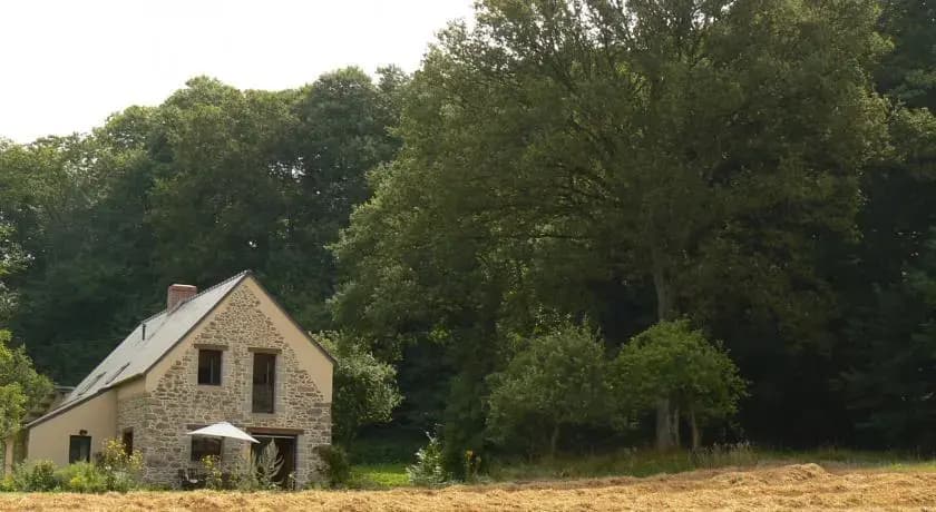 Chambres d'Hôtes du Vault Picot - Photo 3