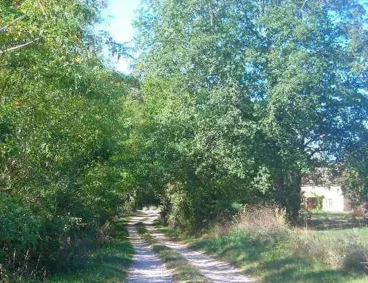 Chambre d'Hôtes La Première Vigne - Photo 4