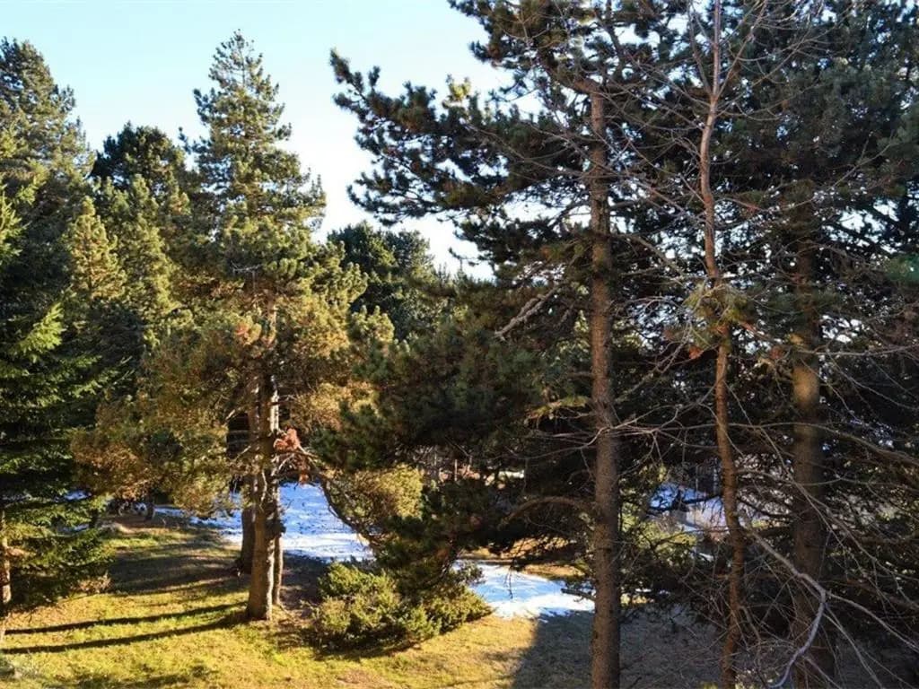 Appartement Font-Romeu-Odeillo-Via, 3 pièces, 6 personnes - FR-1-580-32 - Miniature 7