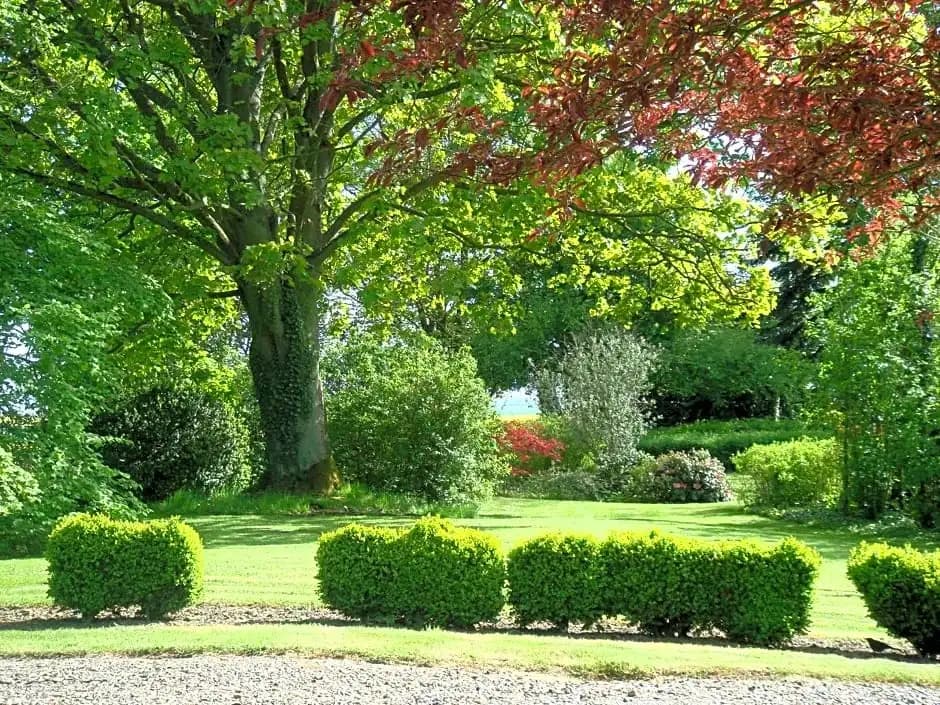 La Maison Blanche - Photo 3