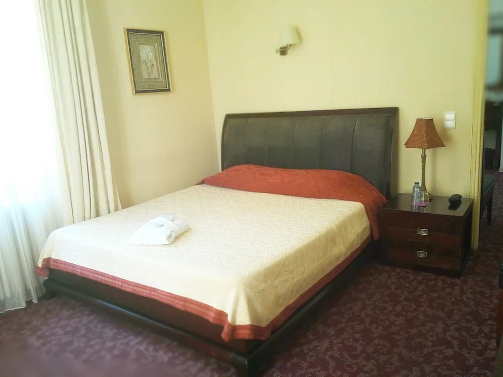 Hotel Alexandre III - Miniature 6