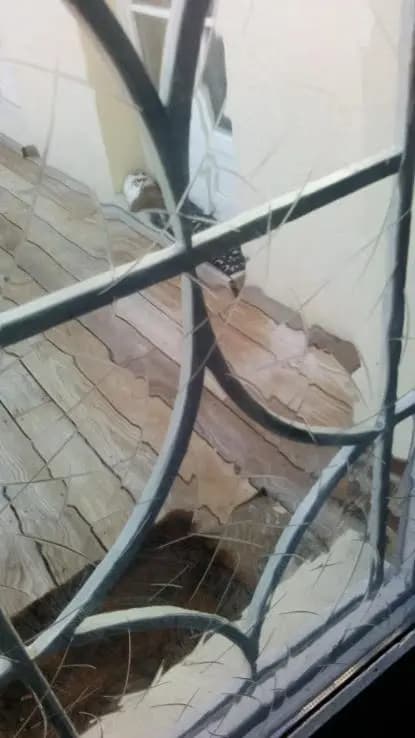 Chambre en ville dans un esprit campagne - Photo 1