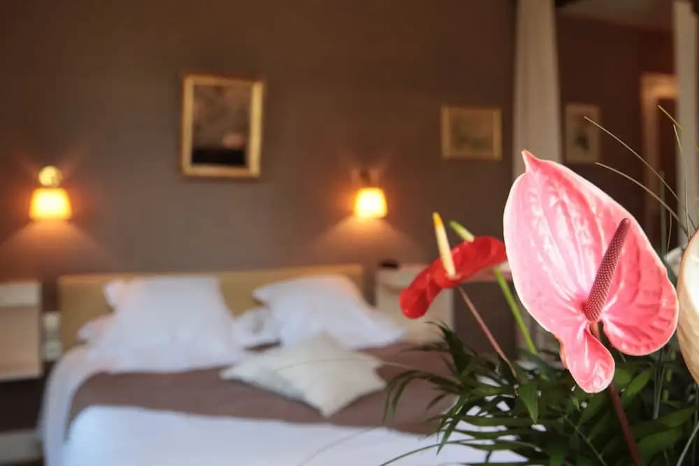 Auberge De Noves - Photo 5