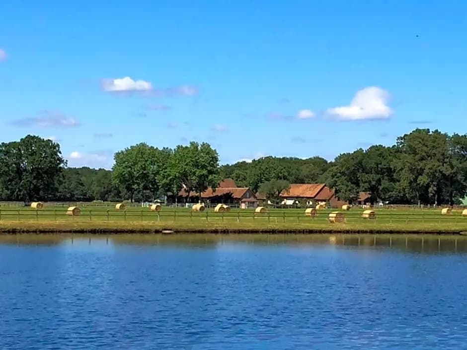 Haras du Vignault - Photo 5