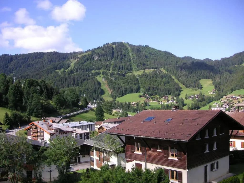 Appartement La Clusaz, 1 pièce, 4 personnes - FR-1-437-11 - Photo 3