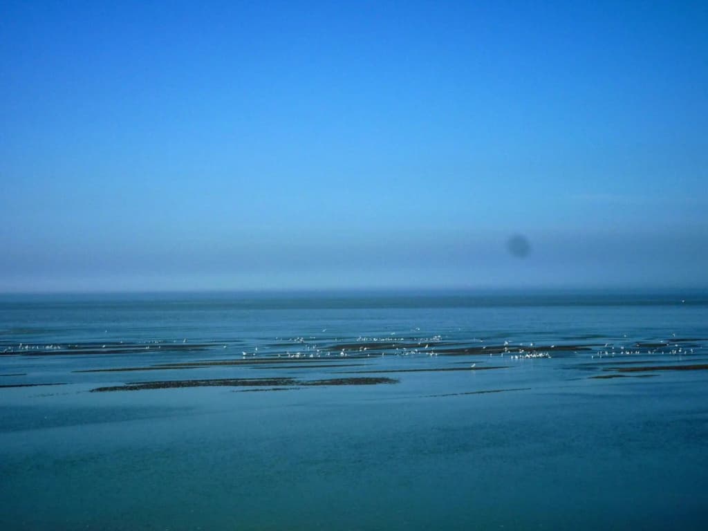 Holiday Home in Cayeux-sur-mer Near Bay of Somme - Photo 4