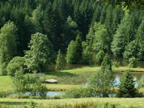 Domaine de la Vigotte - Chalets - Photo 5