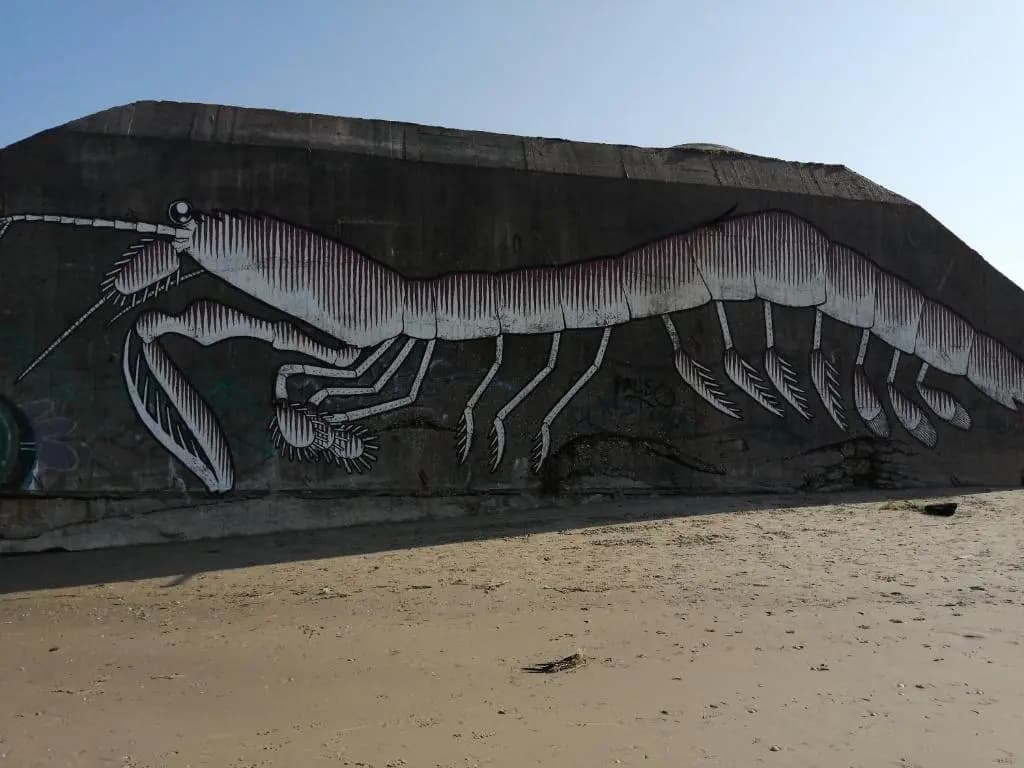 Ste Cécile Plage - Photo 2