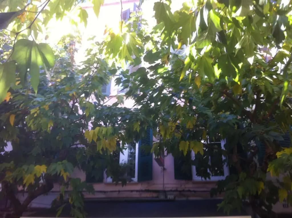 Studio Bonaparte - Photo 2