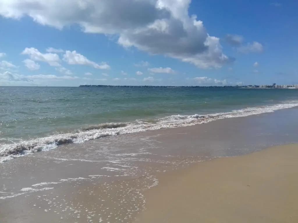 Le Studio Galliéni vue panoramique face mer a fait peau neuve! - Photo 5