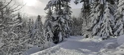 Le Domaine De Pairis - Miniature 6