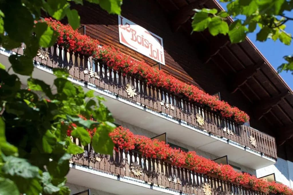 Hôtel Le Bois Joli - Photo 1