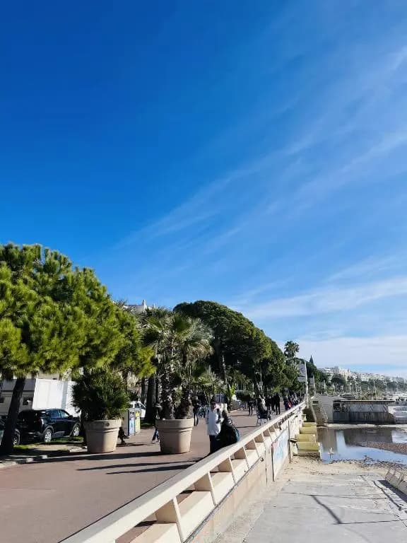 Village Croisette CIL696 - Photo 3