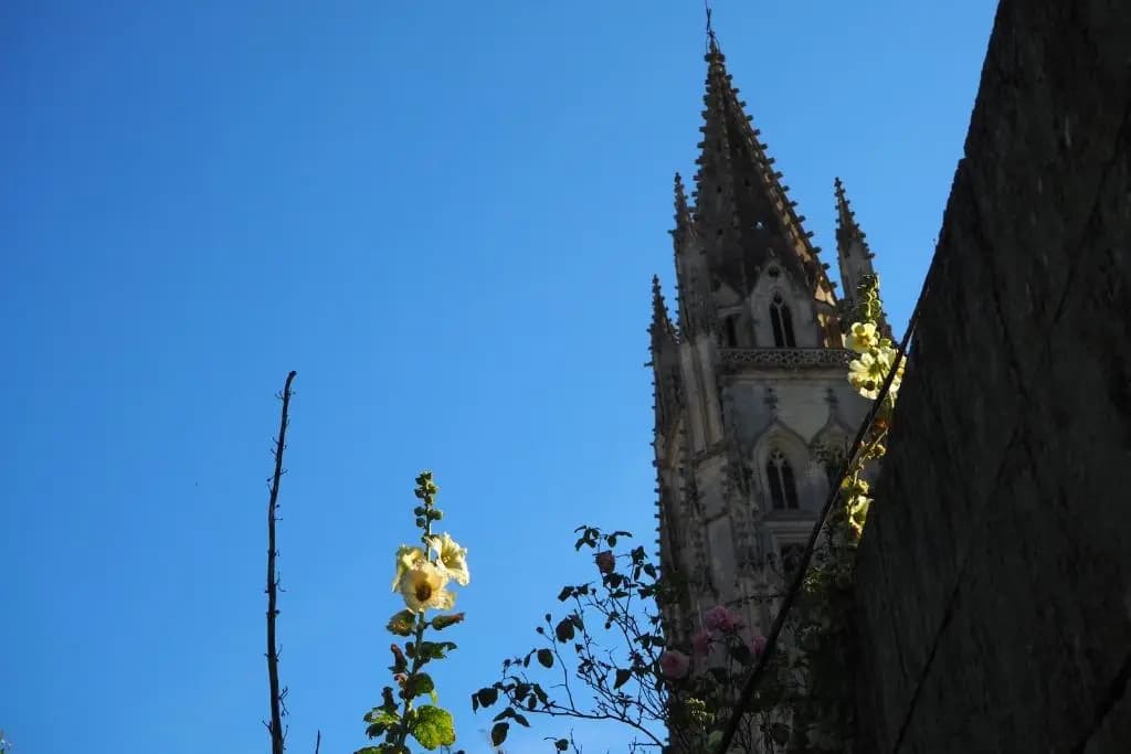 La Belle Etoile - Photo 1