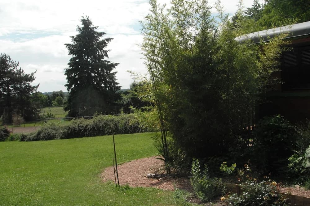 La Roulotte de l'Albizia - Miniature 6