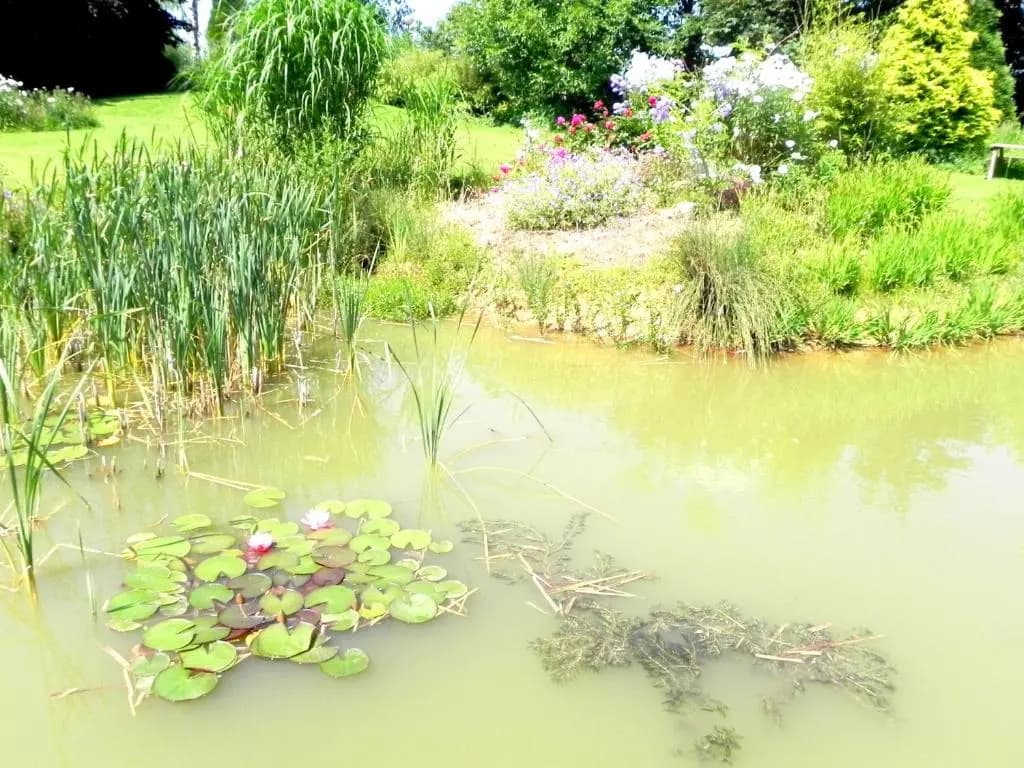 Les Charmilles - Photo 2