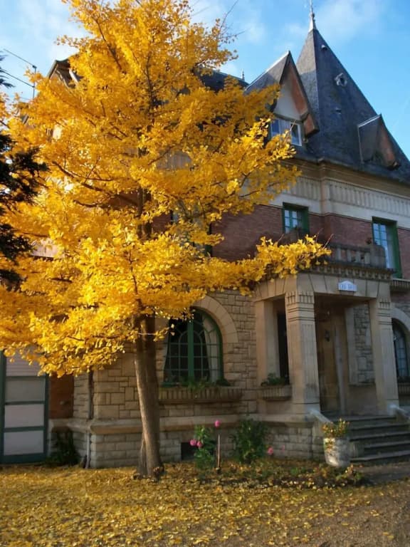 Villa des Iris - Miniature 7