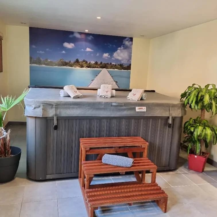 Gite Myosotis 2 personnes avec SPA - Miniature 8